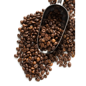 Coffee beans PNG image-9282